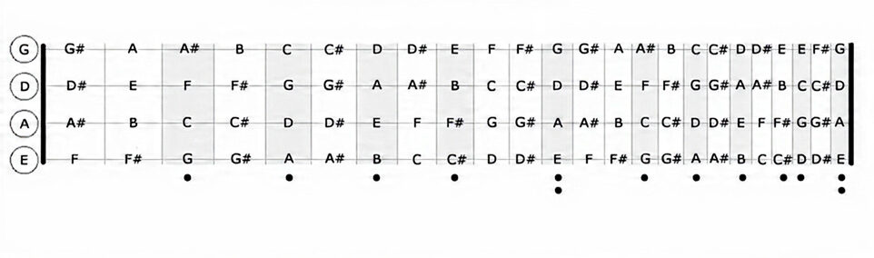 bass guitar scales fretboard